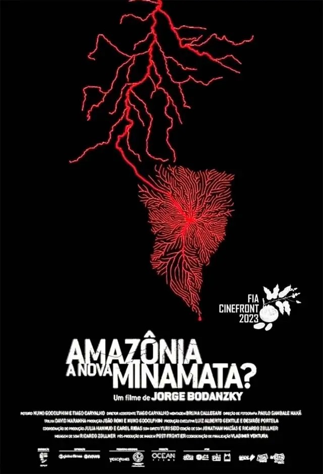 AMAZÔNIA: UMA NOVA MINAMATA?